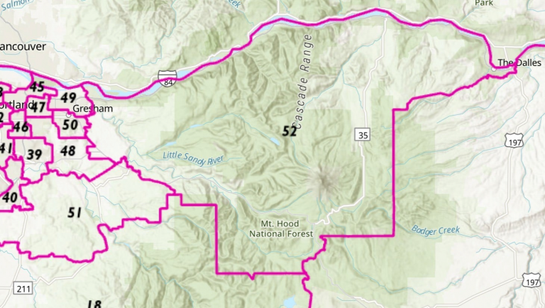 New House Districts 51 & 52